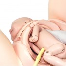 PROMPT Flex Birthing Simulator thumbnail