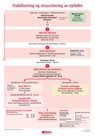 Stabililsering og resuscitering av nyfødte