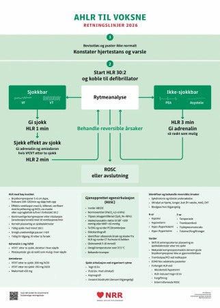 Avansert HLR - voksne - veggplakat